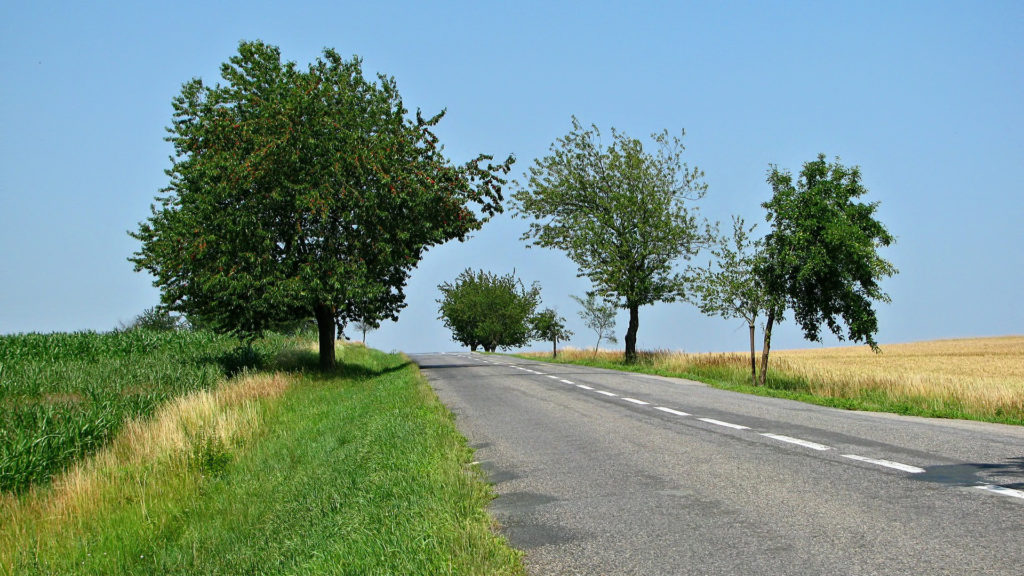 Reutilizar residuos construir carreteras