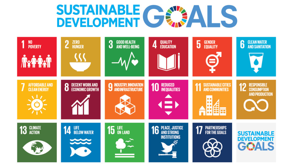 Objetivos de Desarrollo Sostenible, UN