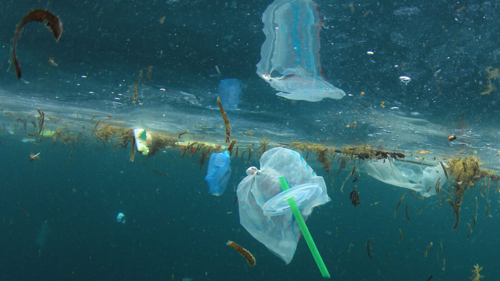 Contaminación plástica en nuestros mares y océanos