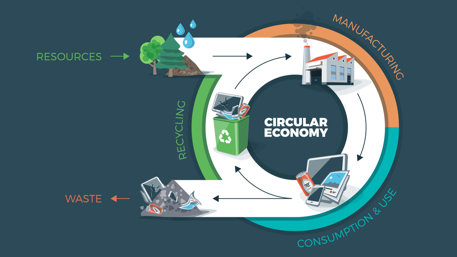 economia circular ciclo de vida