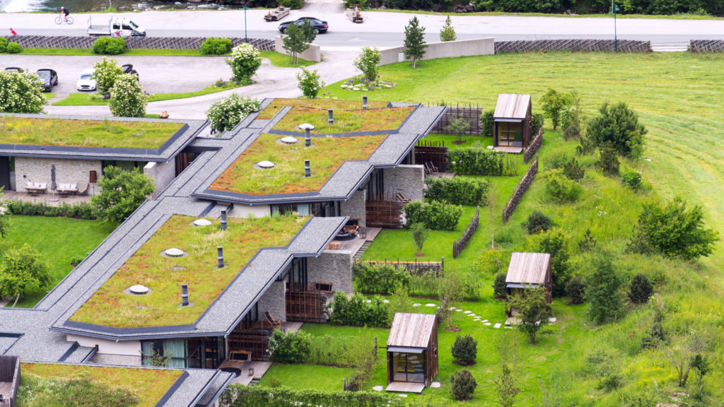 green living sod roofs nature-based solutions