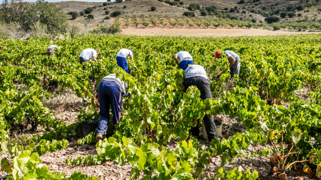 el estrés térmico en la productividad laboral y el trabajo decente