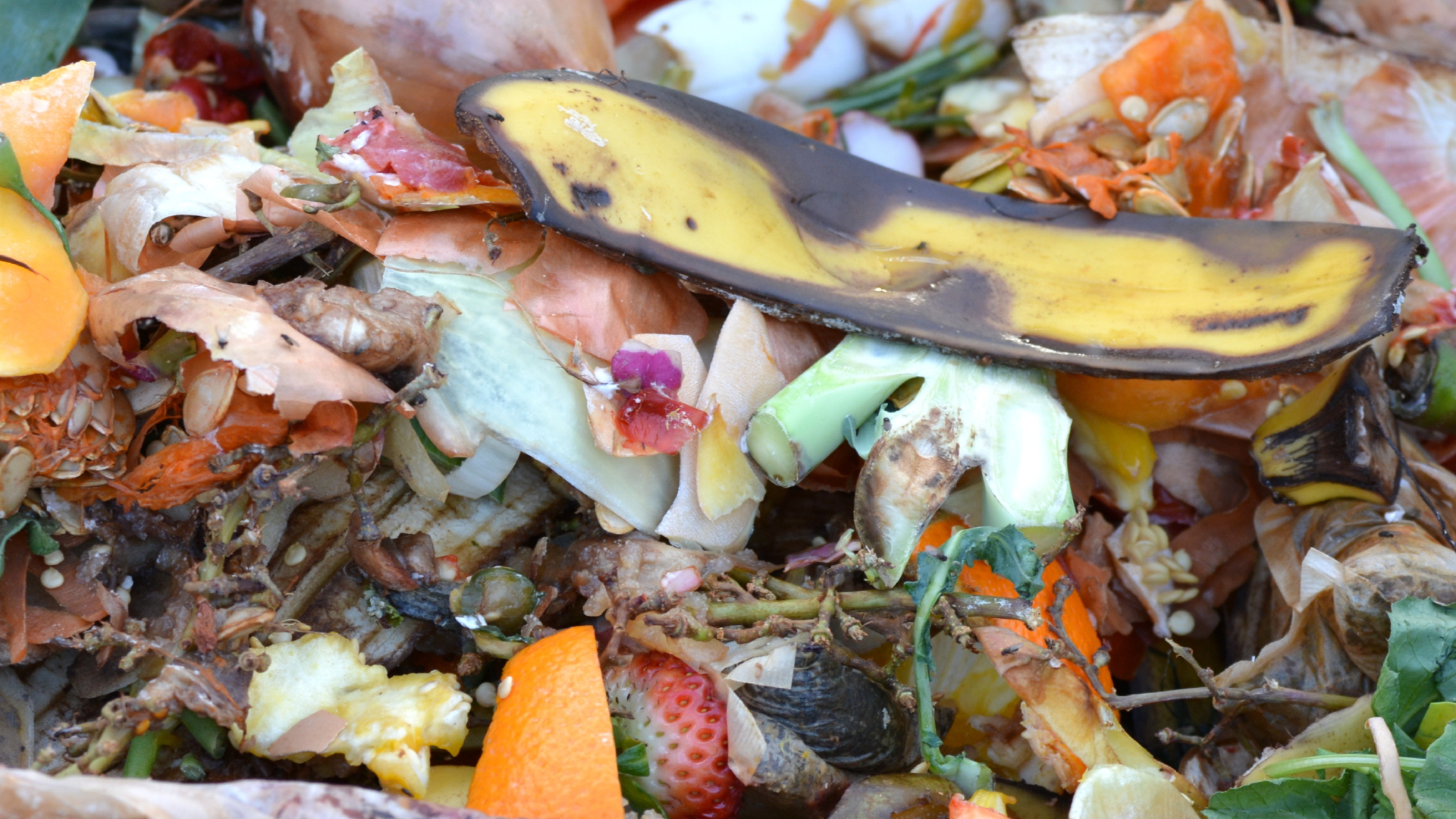 Zero Cabin Waste contra el desperdicio alimentario, 7º Punto de Encuentro Contra el Desperdicio Alimentario