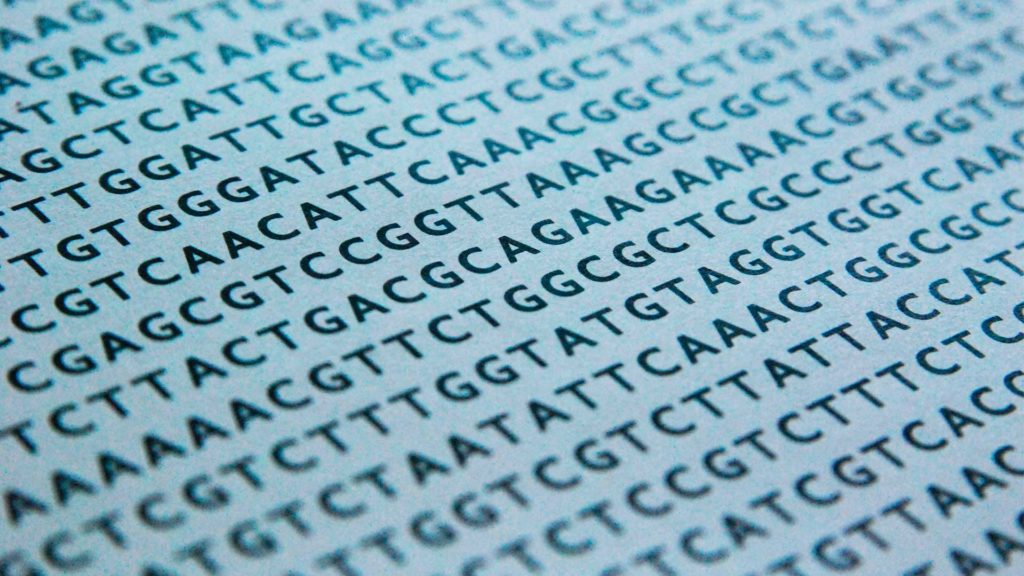 DNA sequence alignments