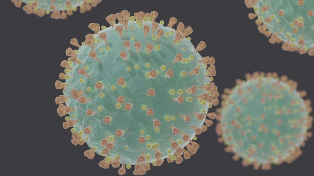 Coronavirus SARS-CoV-2