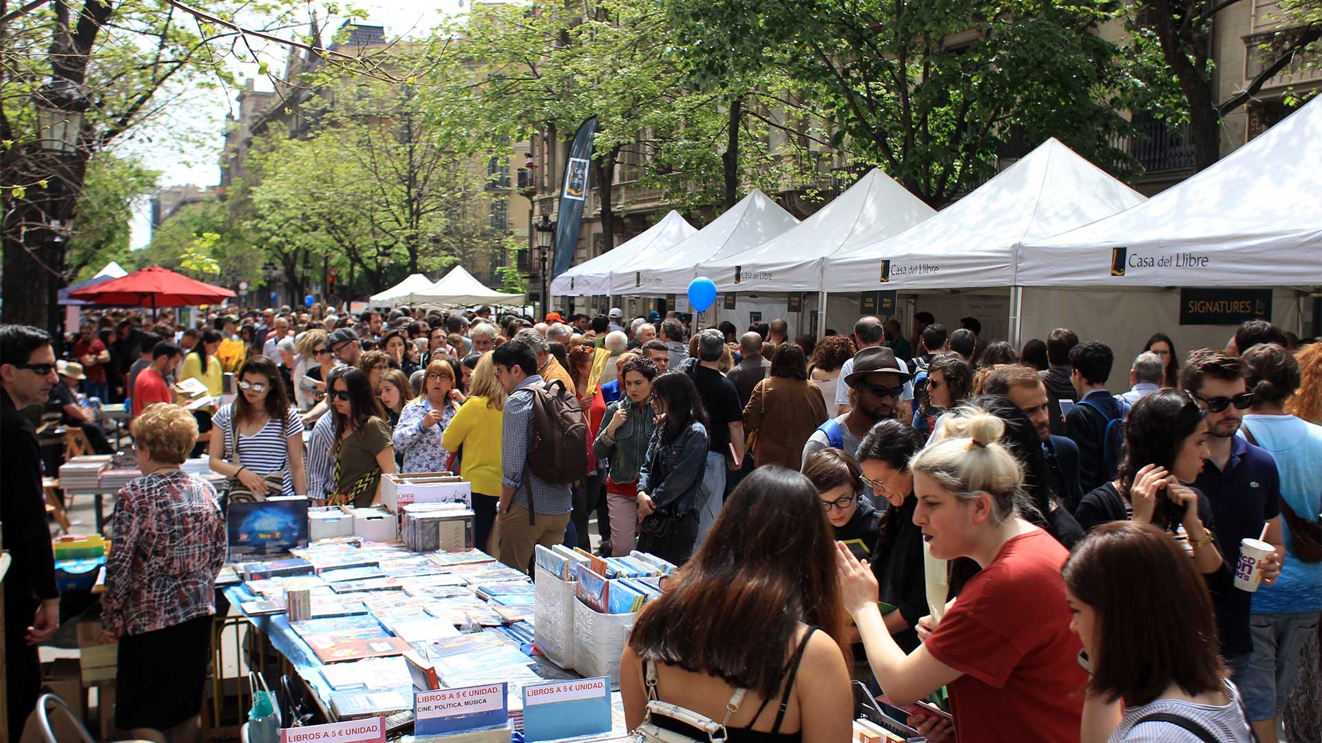 llibres sant jordi 3