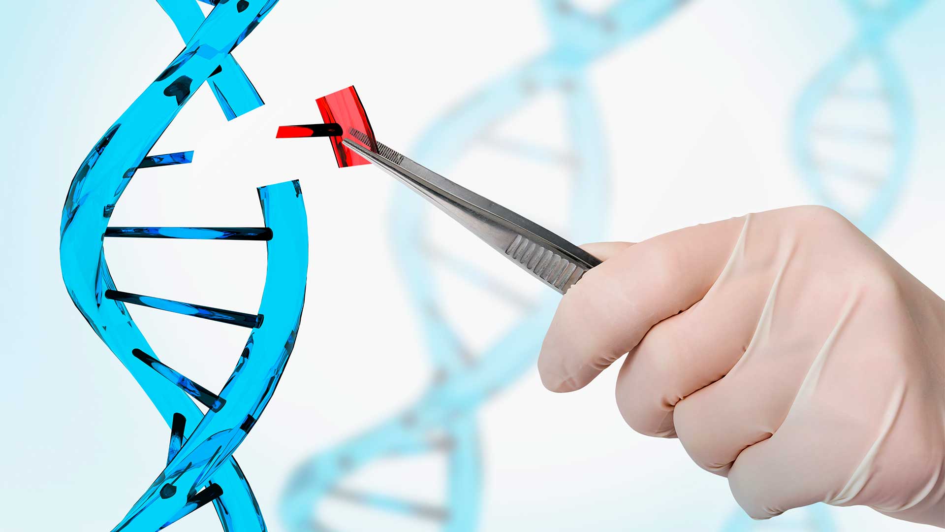 Gene editing ethics