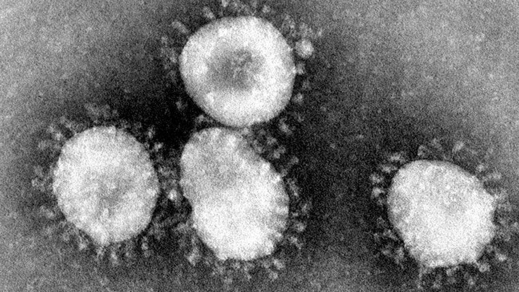 June Almeida coronavirus