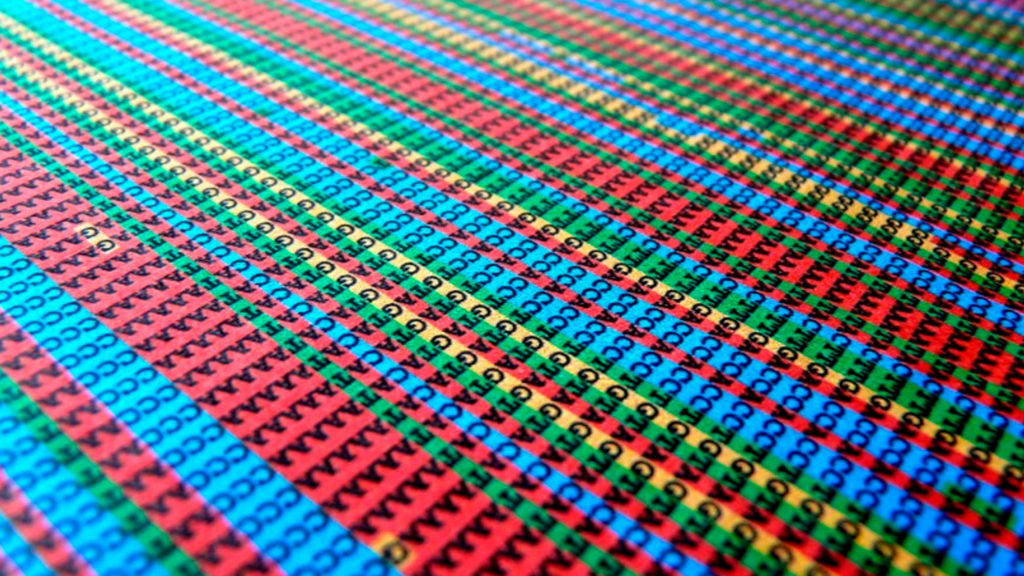 Complete Human Genome