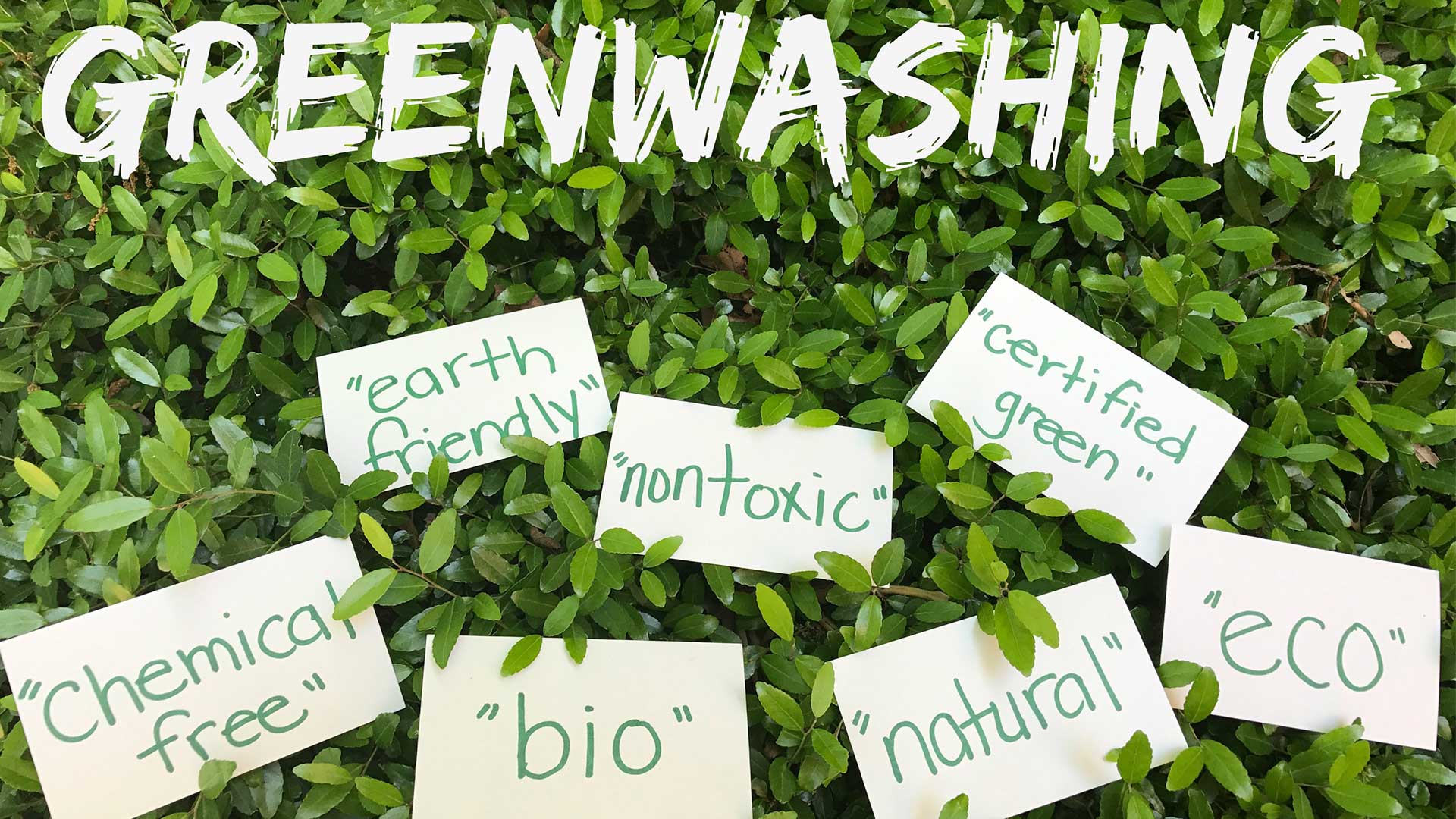 Sustainable Greenwashing