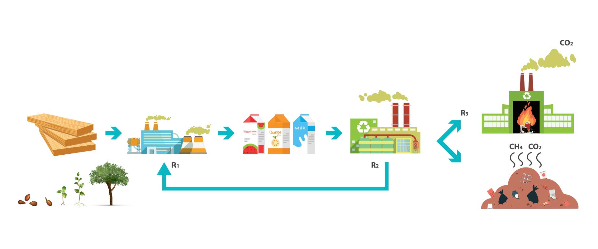 Paper biogenic carbon interior